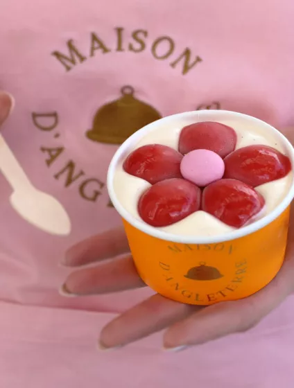 Maison ice cream 2026
