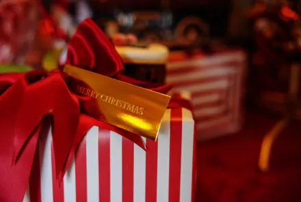 Creations Christmas Collection (3)