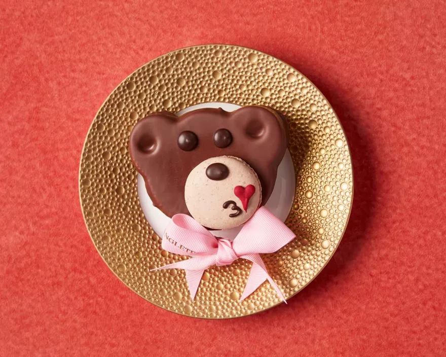 Maison Teddy